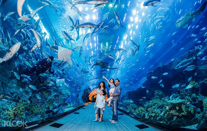 Dubai Aquarium